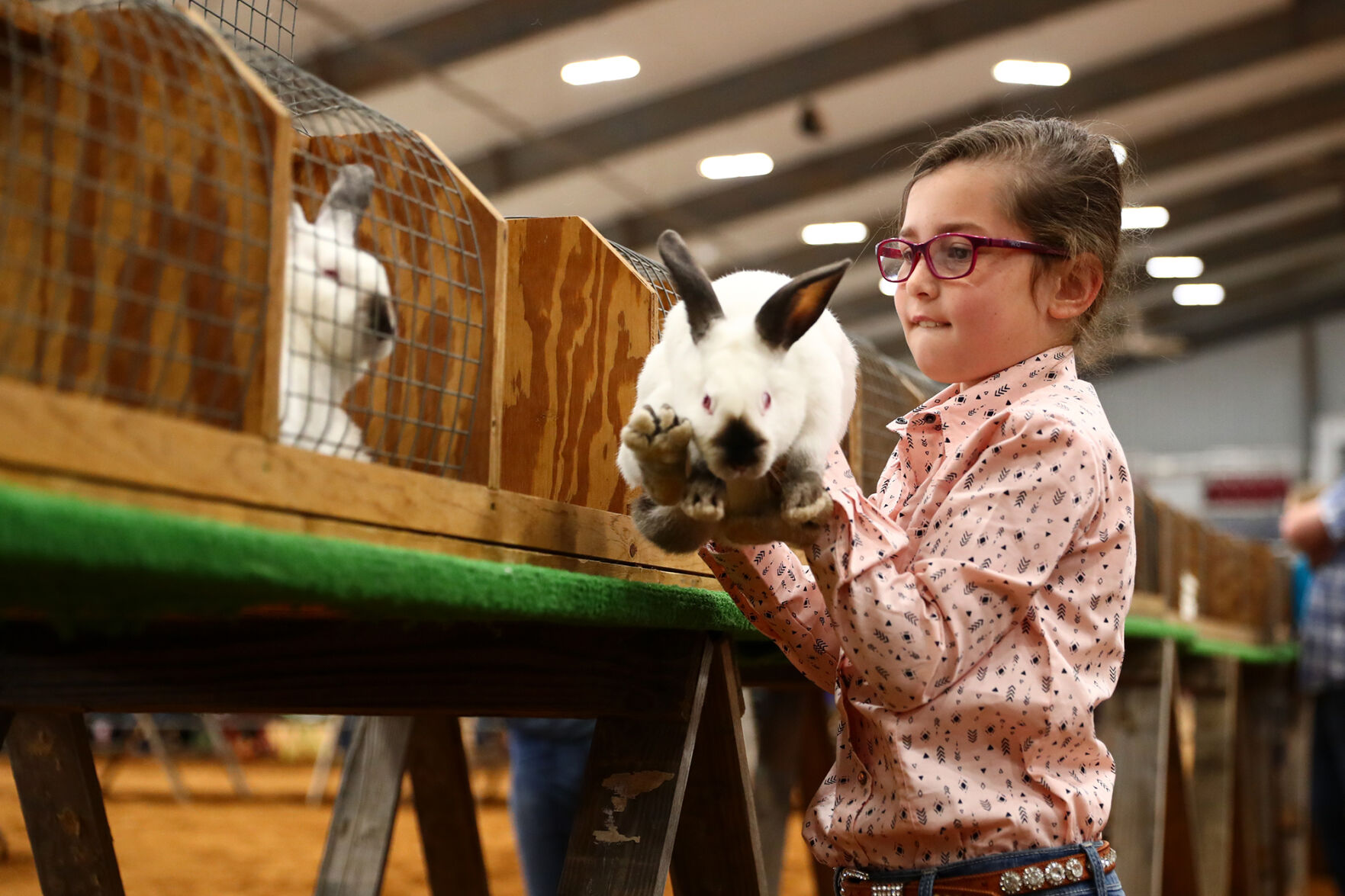 Brazos Valley Youth Livestock Show